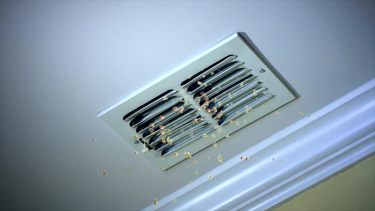 Best Ductwork Cleaning Services  in Saw Creek, PA