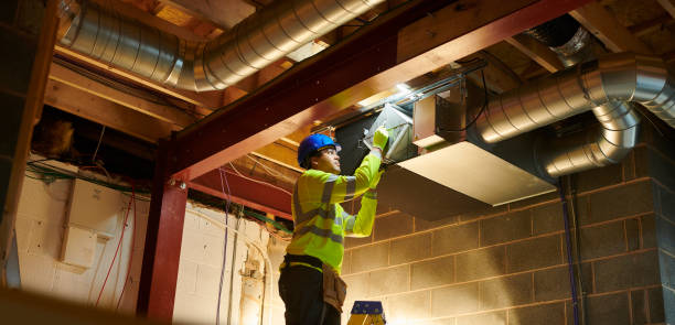 Best Air Duct Mold Removal  in Saw Creek, PA